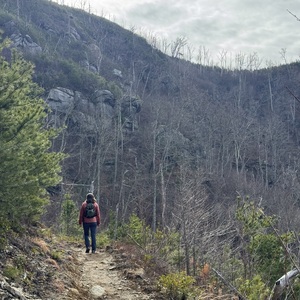 Fundraising Page: Emily Fenichel